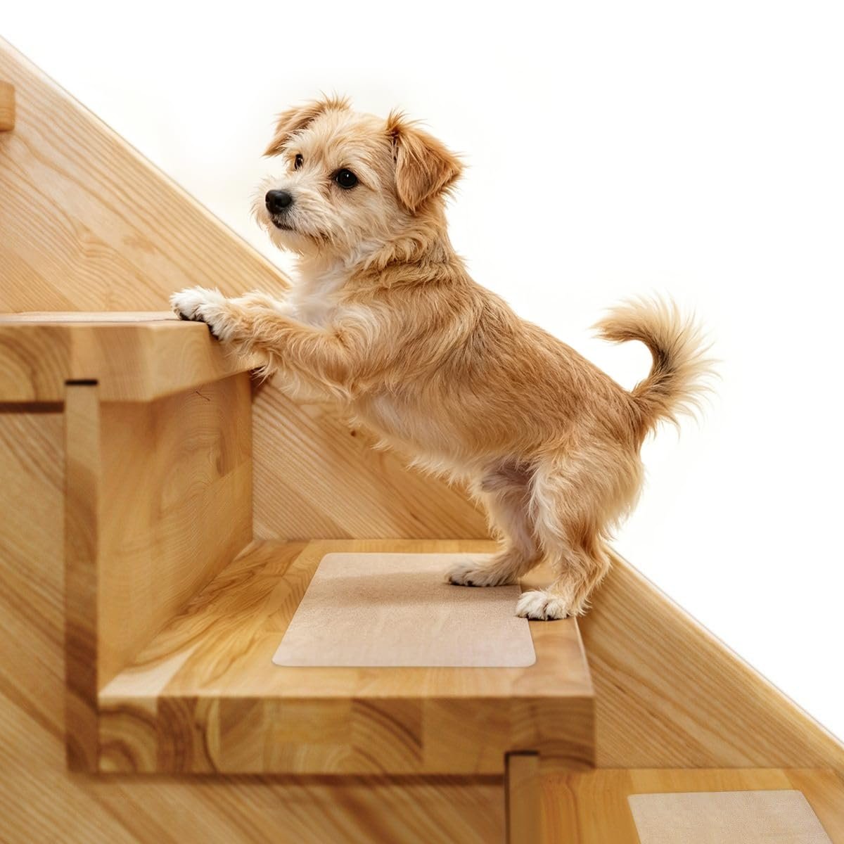 Butizone Stair Treads Non Slip 6″ x 30″, 15-Pack Pre-Cut Clear Anti Slip Strips for Wooden Steps Indoor, Transparent and Waterproof Grip Tape, Safety for Elderly and Dogs