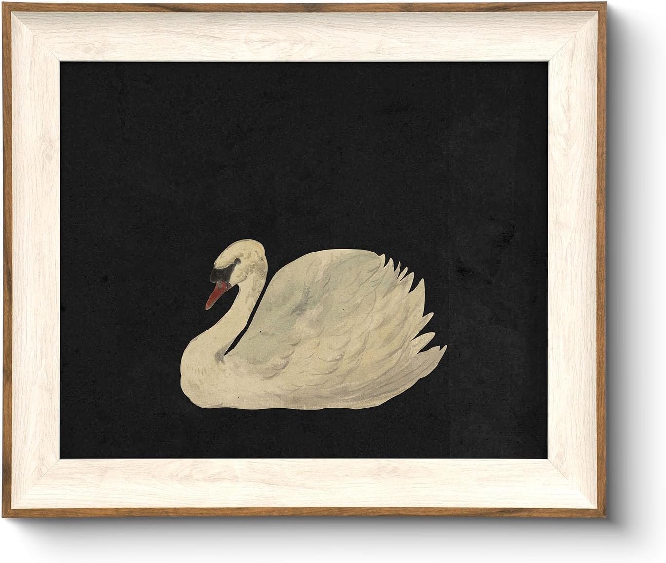VIYYIEA Framed Wall Art for Living Room, Swan Wall Decor, 12L x 10W | Vintage Artwork, Canvas Prints, Animals Painting, Bathroom Picture, Light Weight, Easy to use