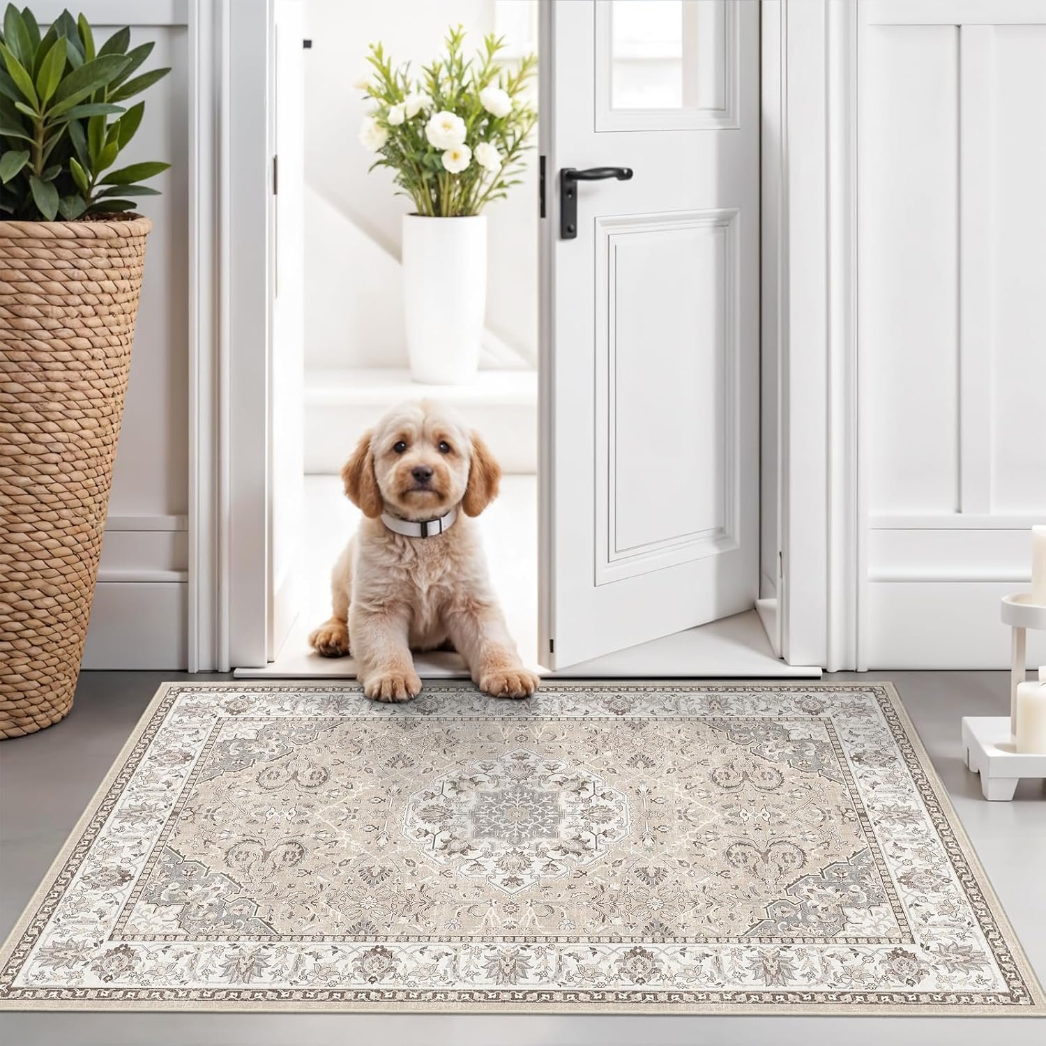 Washable 2×3 Entryway Area Rug – Neutral Kitchen Rug Runner Vintage Soft Floor Mat Non Slip Indoor Farmhouse Carpet for Bathroom Living Room Bedroom (2 X 3, Beige)