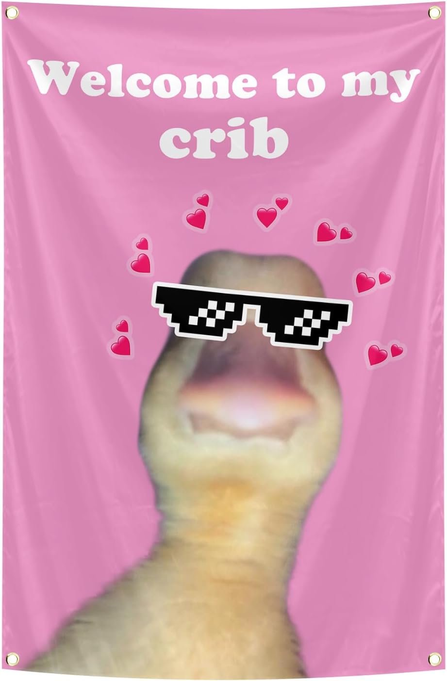 Welcome To My Crib Flag 2×3 Feet Tapestry With 4 Brass Grommets. Funny Flag for Teen Girls Room Indoor Outdoor Bedroom and College Dorm Wall Decor Banner. (pink)