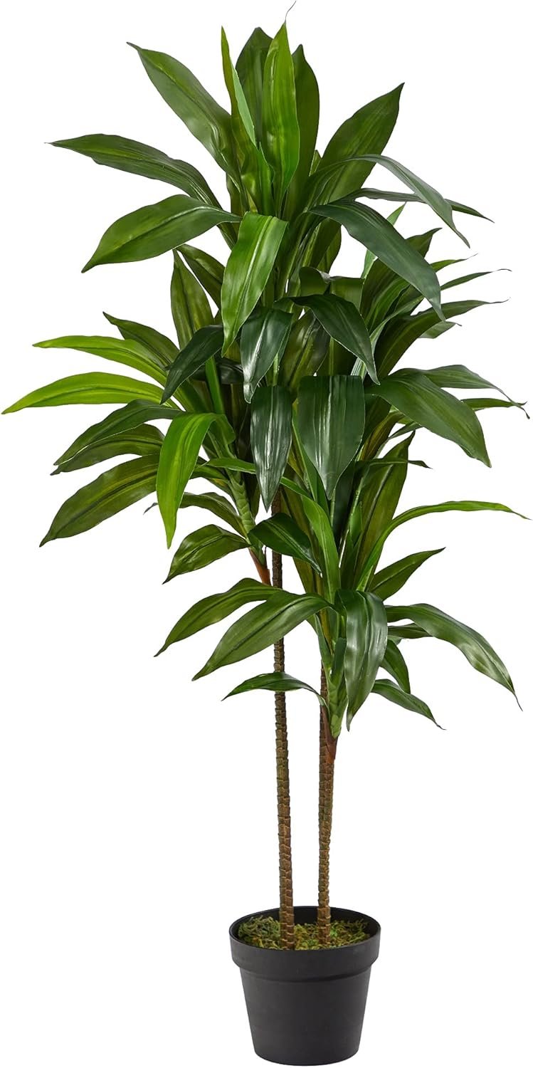 Nearly Natural 48 in Artificial Dracaena Real Touch Plant with Pot | Multi-Tonal Trunks, Large Indoor Silk Plant, Maintenance-Free, Living Room and Home Office Decor